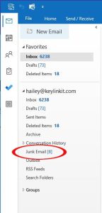 Screenshot: Navigate to the Junk Email folder